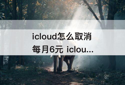 icloud怎么取消每月6元 icloud怎么取消每月6元苹果7