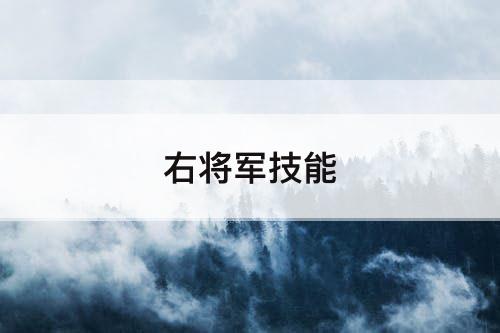 右将军技能