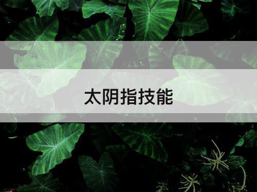 太阴指技能