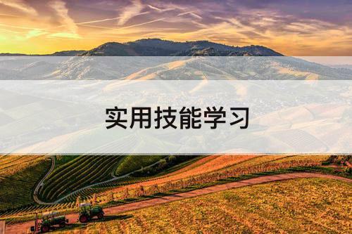 实用技能学习