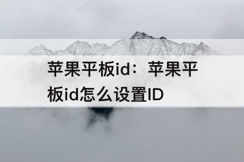 苹果平板id：苹果平板id怎么设置ID
