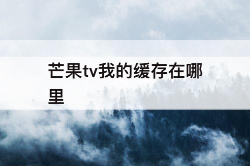 芒果tv我的缓存在哪里