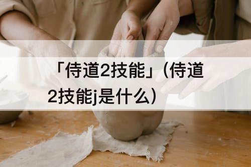 「侍道2技能」(侍道2技能j是什么)