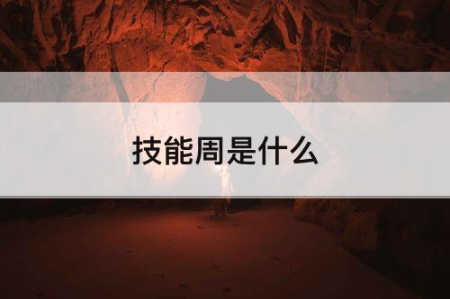 技能周是什么