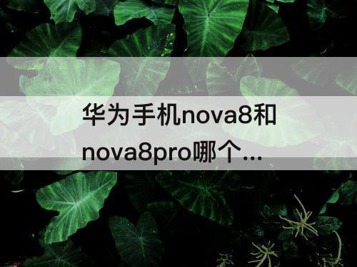 华为手机nova8和nova8pro哪个好
