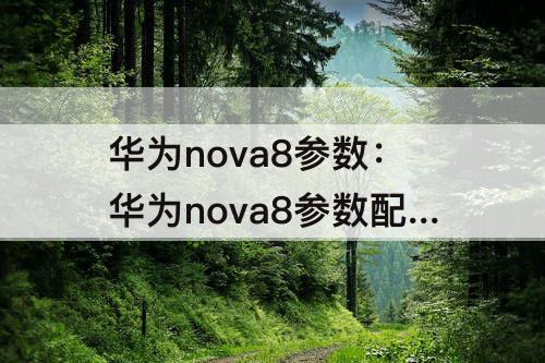 华为nova8参数：华为nova8参数配置