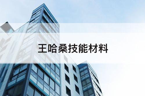王哈桑技能材料