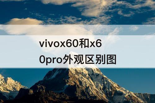 vivox60和x60pro外观区别图