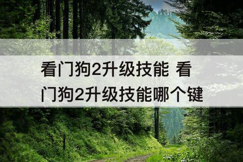 看门狗2升级技能 看门狗2升级技能哪个键