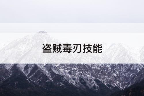 盗贼毒刃技能