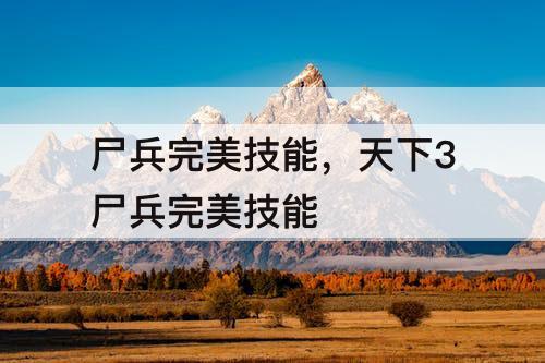 尸兵完美技能，天下3尸兵完美技能