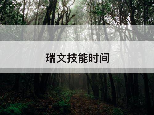 瑞文技能时间