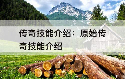 传奇技能介绍：原始传奇技能介绍