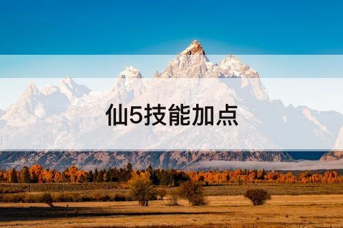 仙5技能加点