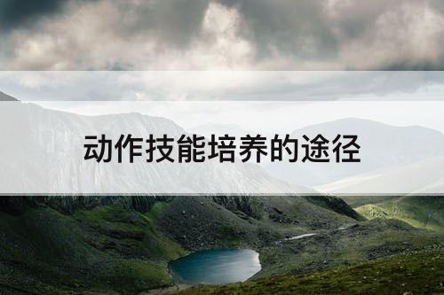 动作技能培养的途径