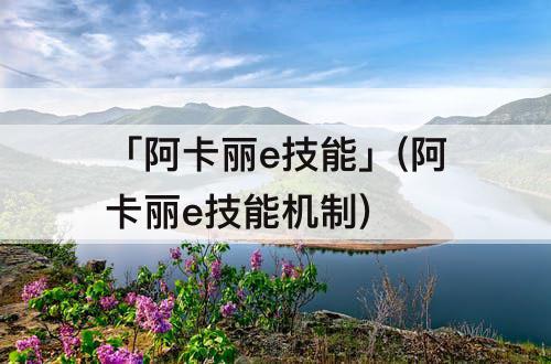 「阿卡丽e技能」(阿卡丽e技能机制)