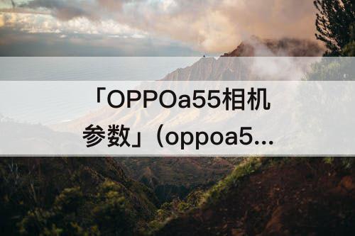 「OPPOa55相机参数」(oppoa55相机参数配置)