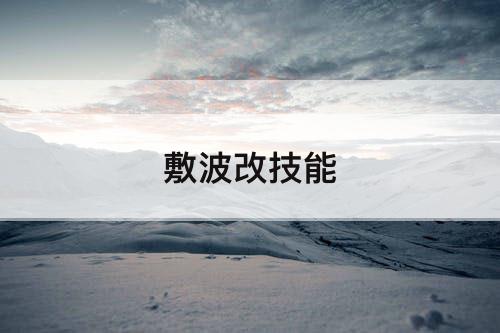 敷波改技能