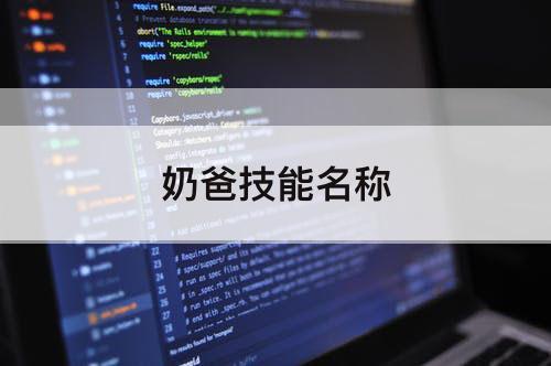 奶爸技能名称