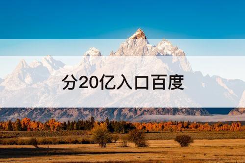 分20亿入口百度