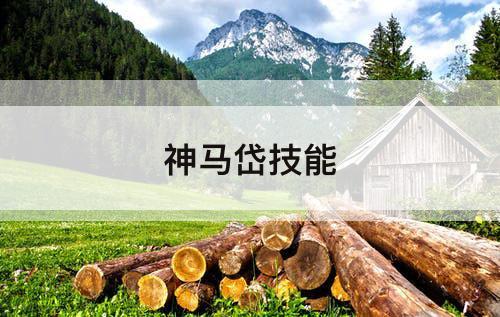 神马岱技能