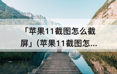 「苹果11截图怎么截屏」(苹果11截图怎么截屏长图呢)