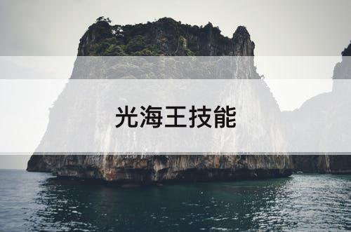 光海王技能