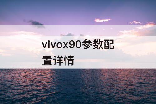 vivox90参数配置详情