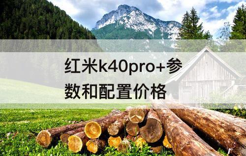 红米k40pro+参数和配置价格