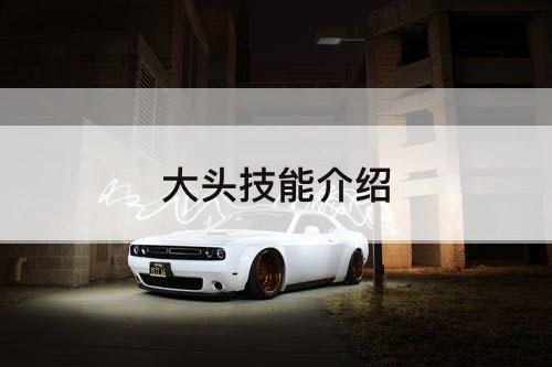 大头技能介绍