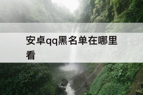 安卓qq黑名单在哪里看