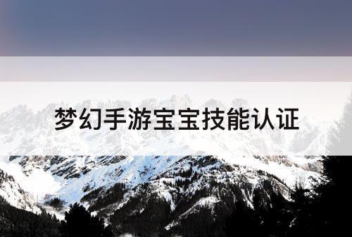 梦幻手游宝宝技能认证