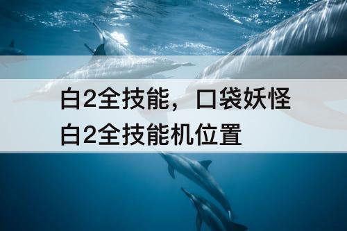 白2全技能，口袋妖怪白2全技能机位置