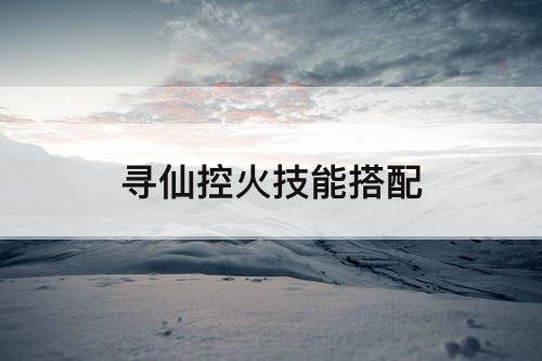 寻仙控火技能搭配