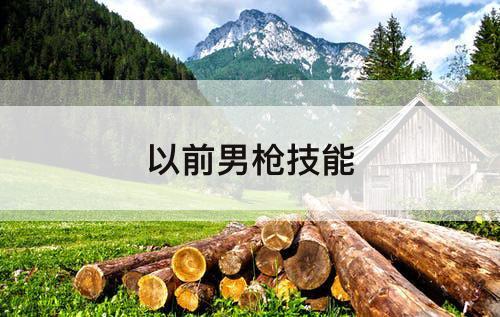 以前男枪技能