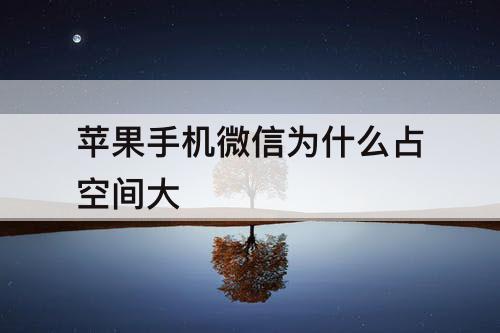 苹果手机微信为什么占空间大