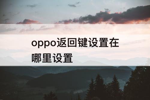 oppo返回键设置在哪里设置
