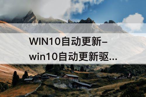 WIN10自动更新-win10自动更新驱动好不好