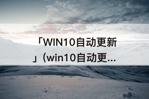 「WIN10自动更新」(win10自动更新软件)