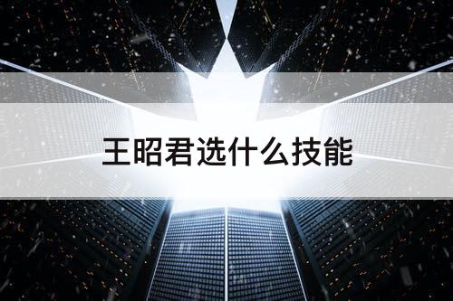 王昭君选什么技能