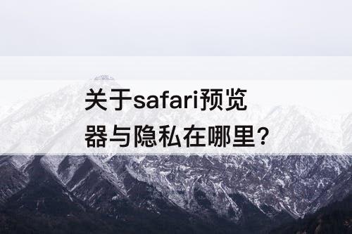 关于safari预览器与隐私在哪里?