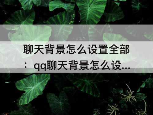 聊天背景怎么设置全部：qq聊天背景怎么设置全部统一