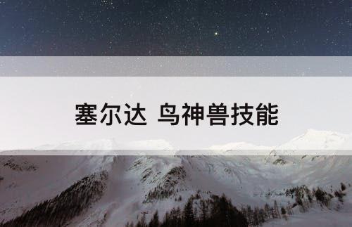 塞尔达 鸟神兽技能