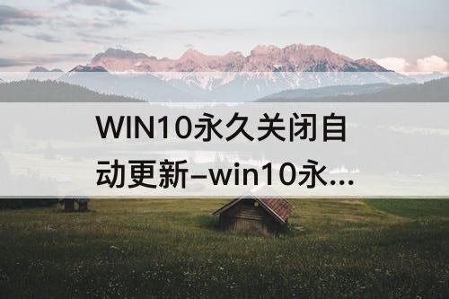 WIN10永久关闭自动更新-win10永久关闭自动更新注册表