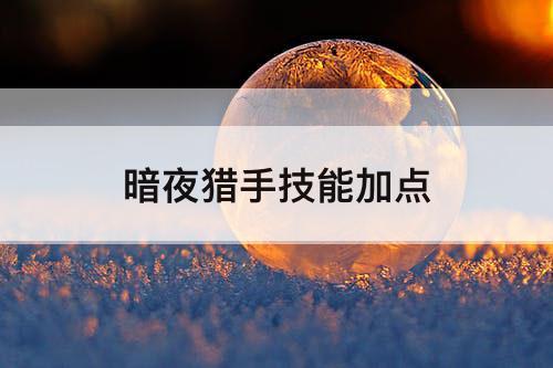 暗夜猎手技能加点