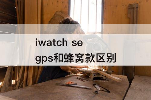 iwatch se gps和蜂窝款区别