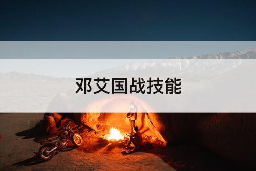 邓艾国战技能