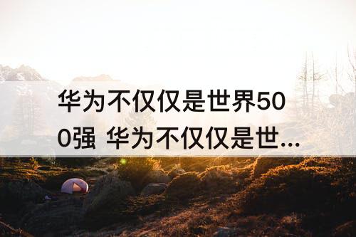 华为不仅仅是世界500强 华为不仅仅是世界500强体现了什么