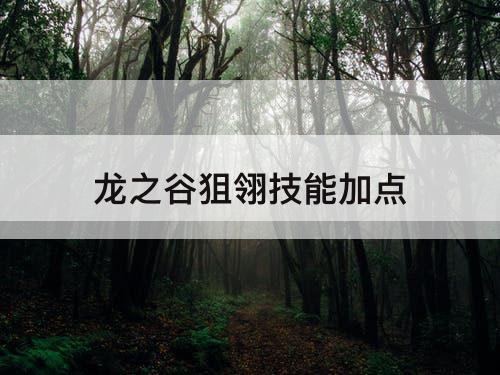 龙之谷狙翎技能加点