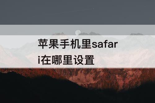 苹果手机里safari在哪里设置